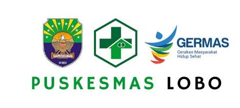 Puskesmas Lobo